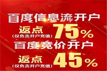 成功SEM主管的营销策略案例分享